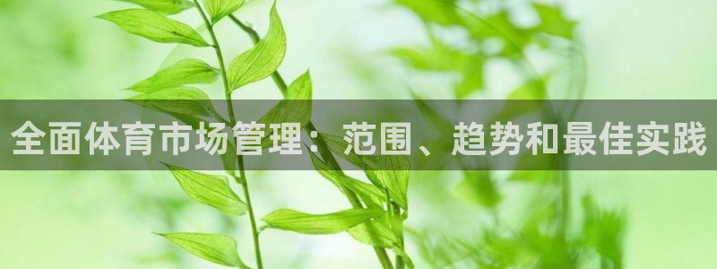 必一体育在线登录：全