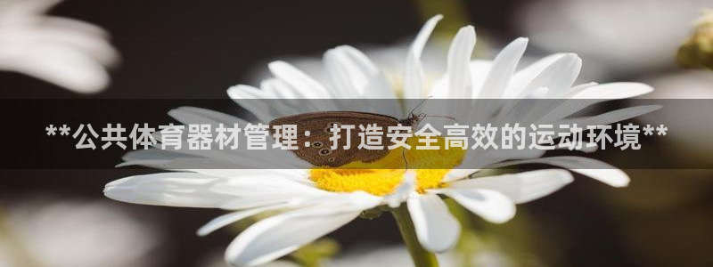 必一体育网页登录版官网